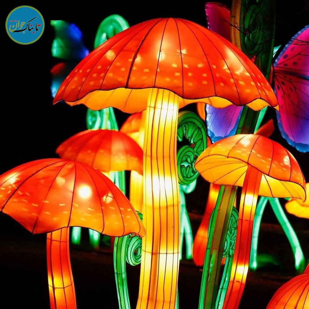 باغ وحش رویایی که فقط شب ها باز است