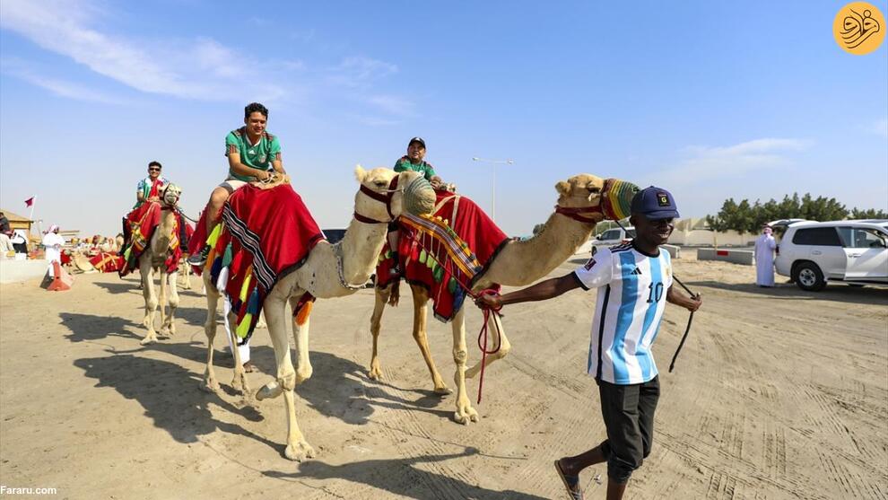 تصاویر لذت بردن هواداران فوتبال در صحرای قطر
