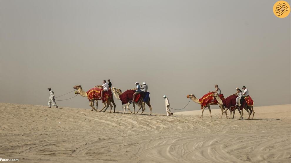 تصاویر لذت بردن هواداران فوتبال در صحرای قطر