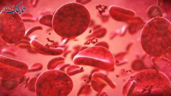 چه گروه خونی میتواند به همه خون بدهد؟ + جدول گروه خونی‌ها