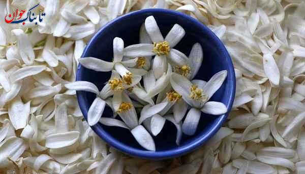 شهر بهارنارنج لقب کدام شهر است؟