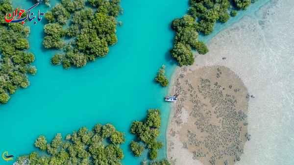 بزرگترین جزیره خلیج فارس و کوچکترین آن + دیدنی‌ها