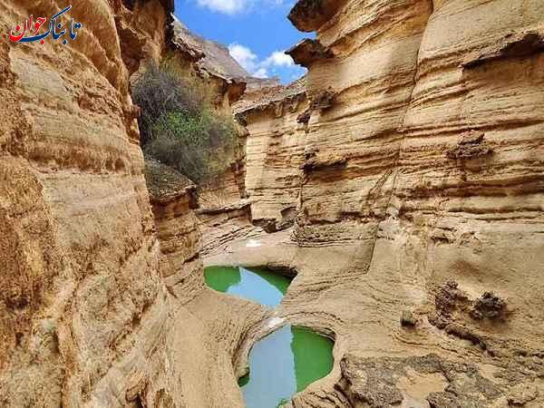 بزرگترین جزیره خلیج فارس و کوچکترین آن + دیدنی‌ها