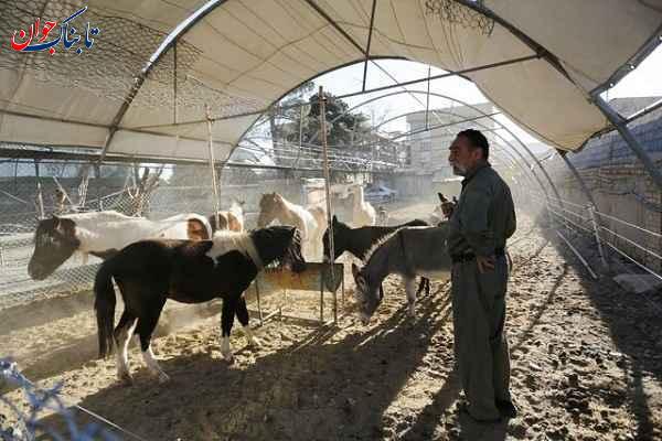 ساکنان عجیب خانه یک مرد ایرانی! + تصاویر