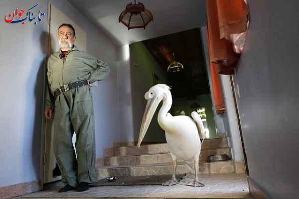 ساکنان عجیب خانه یک مرد ایرانی! + تصاویر