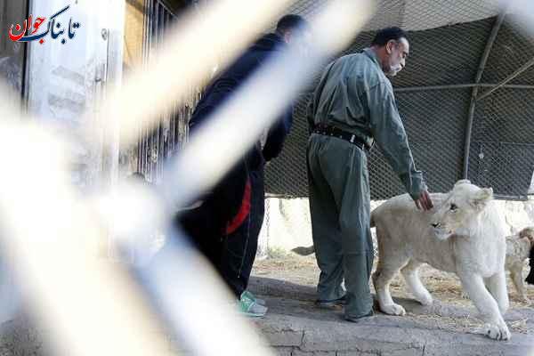 ساکنان عجیب خانه یک مرد ایرانی! + تصاویر