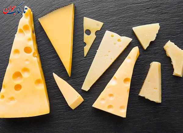 پنیر طعم اومامی خوردن چه غذاهایی به سلولهای گیرنده چشایی آسیب میزند؟ + حقایق