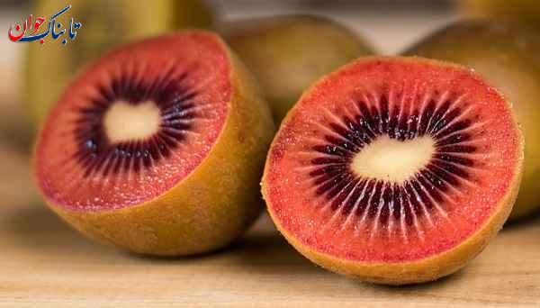 کیوی سرخ کیوی از کدام کشور است؟ + تاریخچه ورود به ایران