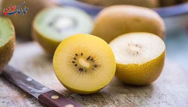 کیوی زرد کیوی از کدام کشور است؟ + تاریخچه ورود به ایران