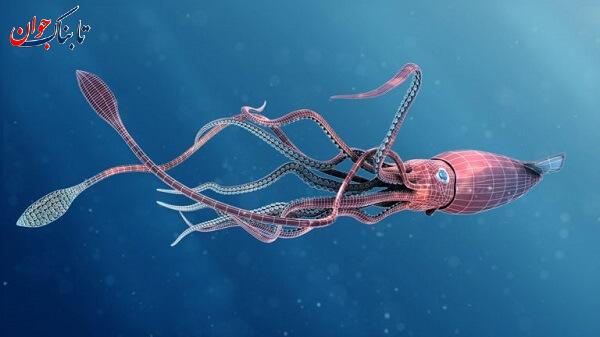 ماهی کله چاق شبیه انسان! + ماهی های عجیب