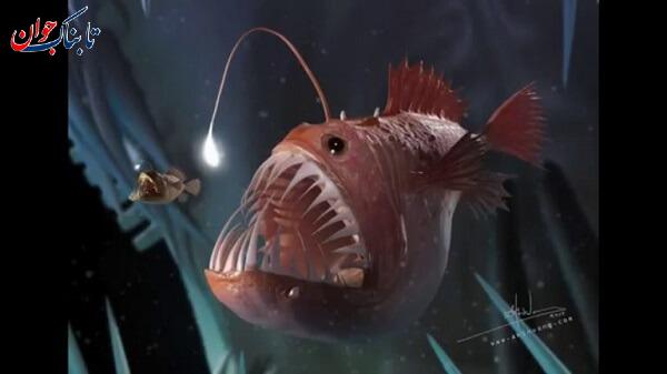 ماهی کله چاق شبیه انسان! + ماهی های عجیب