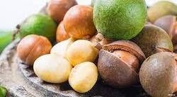 خواص روغن ماکادمیا برای پوست