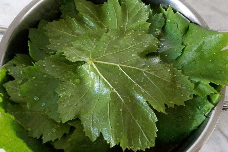 با 3 روش مطمئن برگ مو را در فریزر نگهداری کنید