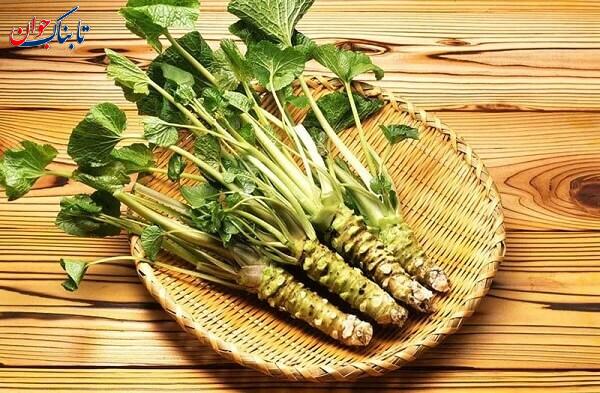 گیاه واسابی واسابی چیست؟ + طرز تهیه سس واسابی