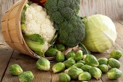 مقابله با عفونت ریه با سبزیجات چلیپایی