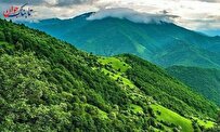 کدام جانور می تواند سه سال بدون غذا زنده بماند؟