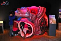 جاندارانی با کمترین و بیشترین ضربان قلب!