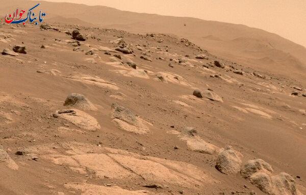 آیا در سیاره مریخ اکسیژن وجود دارد؟ گیاه و آب چطور؟