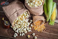 آیا پفیلا چاق کننده است یا لاغر کننده؟ + خواص