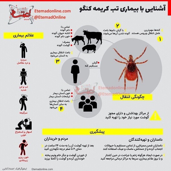 تب کریمه کنگو چیست؟ + راه های انتقال