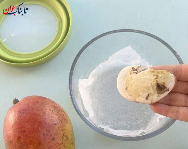 چگونه هسته انبه را بکاریم تا میوه دهد؟ + عکس