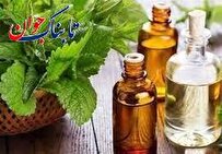 طبخ غذا با روغن های خوراکی گیاهی چقدر اهمیت دارد؟