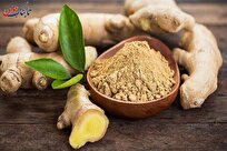 طبع گرم و خواص کم‌نظیر یک ادویه