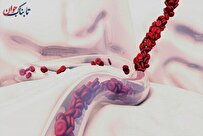 کاش مرگ و میر با یک محصول نانویی