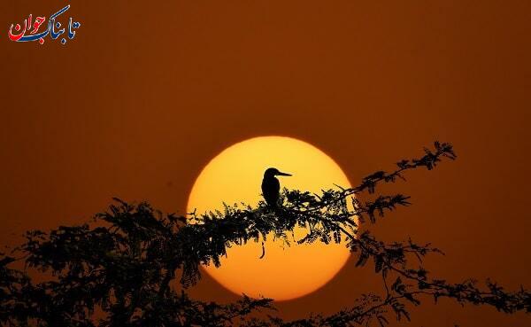 چگونه از ماه عکس بگیریم؟ + ترفندها