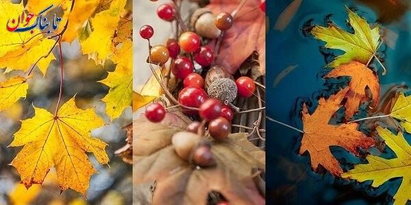 استوری پاییزی متن درباره پاییز برای استوری و کپشن اینستاگرام