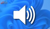شنوایی کدام حیوان قوی است؟