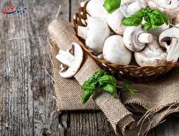 قارچ جایگزین چه ماده غذایی است؟ + خواص و مضرات