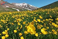 عروس کوه های ایران کجاست؟ + تصاویر