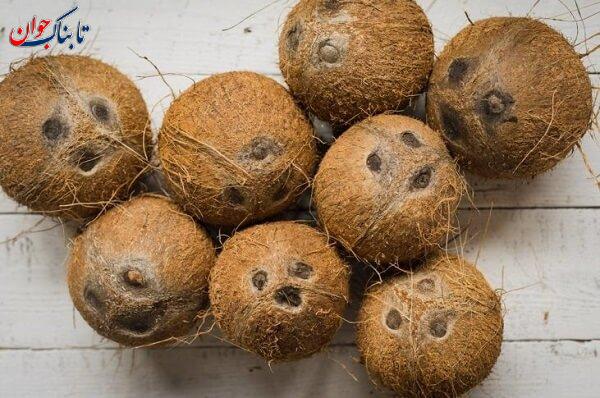 چطور نارگیل را بشکنیم؟ / نارگیل را چگونه بخوریم؟