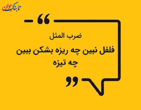 معنی فلفل نبین چه ریزه بشکن ببین چه تیزه + انشا