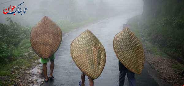 مرطوب ترین شهر جهان و مرطوب ترین کشور کجاست؟