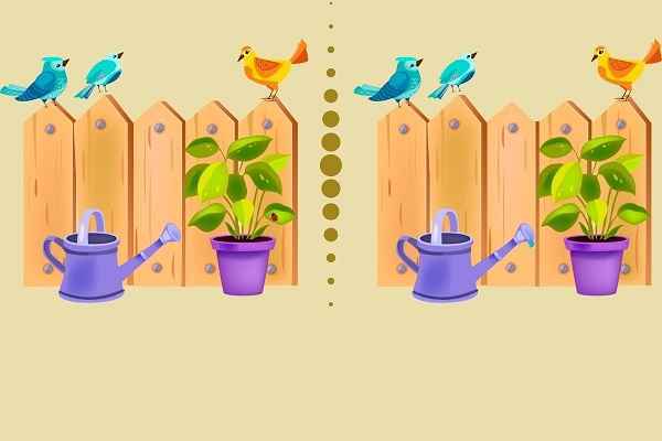 معما تصویری ۳ معما تصویری با جواب مخصوص چشمان تیزبین