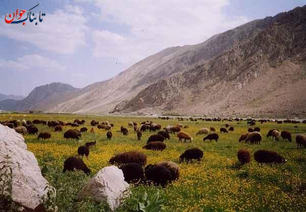 دشت لار کجاست و چه جاهایی دارد؟