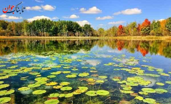 تالاب بندر انزلی رامسر کجا بریم خوش بگذره؟
