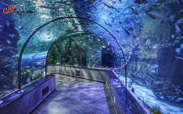 آکواریوم بندر انزلی رامسر کجا بریم خوش بگذره؟