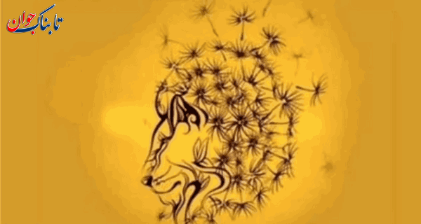 شخصیت شناسی با عکس: در نگاه اول چه می‌بینید؟