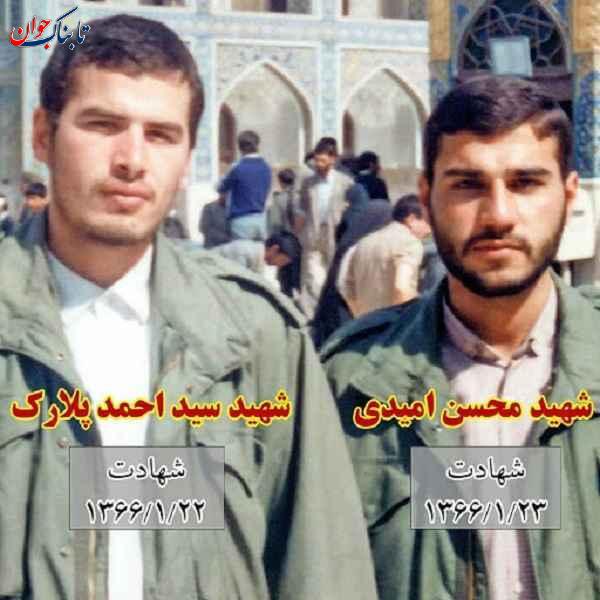 شهید پلارک کیست و چگونه شهید شد؟