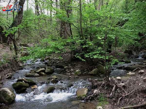 تنگه مینودشت مینودشت کجاست و چه جاهای دیدنی دارد؟