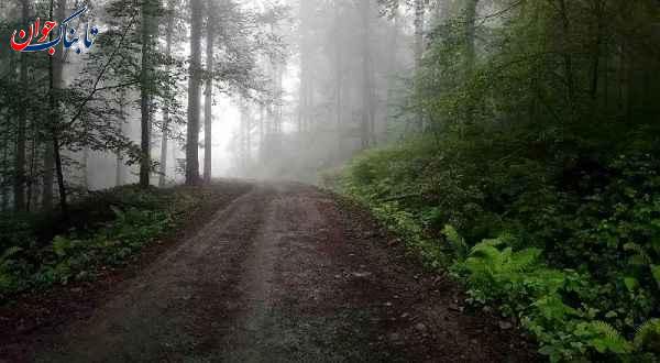 متل قو کجاست و موسس آن کیست؟ + جا‌های دیدنی