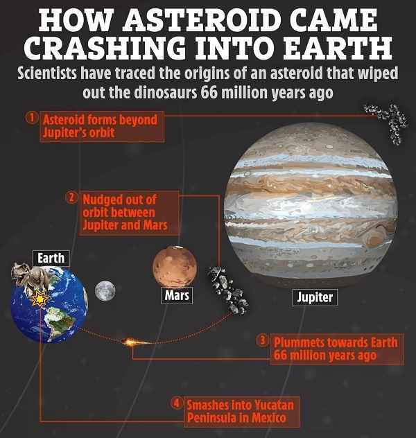 انقراض دایناسورها کشف جزییات حادثهای که باعث انقراض دایناسورها شد!