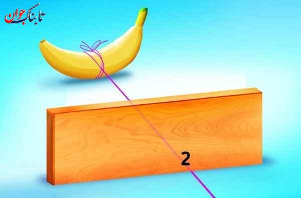باهوش ها در ۷ ثانیه این معما را حل میکنند!