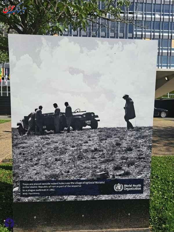 ماجرای عکسی از ایران مقابل دفتر سازمان جهانی بهداشت ماجرای عکسی از ایران مقابل دفتر سازمان جهانی بهداشت