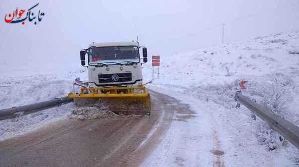 تصاویری که دلتان را در گرما میبرد!