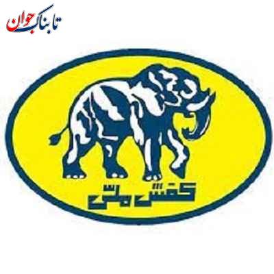 کفش ملی ایرانی ها چگونه کفش پوشیدند؟