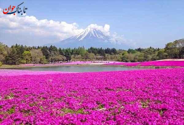 ۹ مقصد گردشگری خنک در ایران